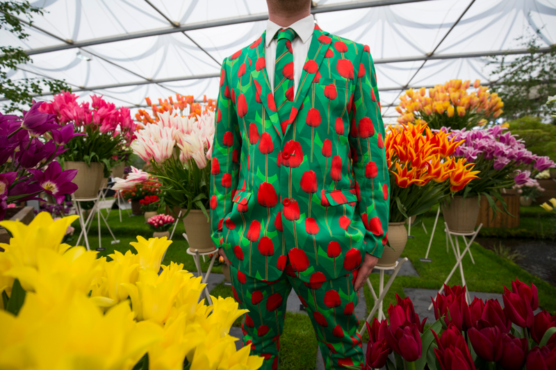 Illustration for article titled Peeking Inside the Hectic Floral Heaven of the Chelsea Flower Show